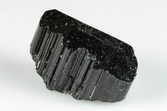 Terminated Black Tourmaline (Schorl) Crystal - Madagascar #200404